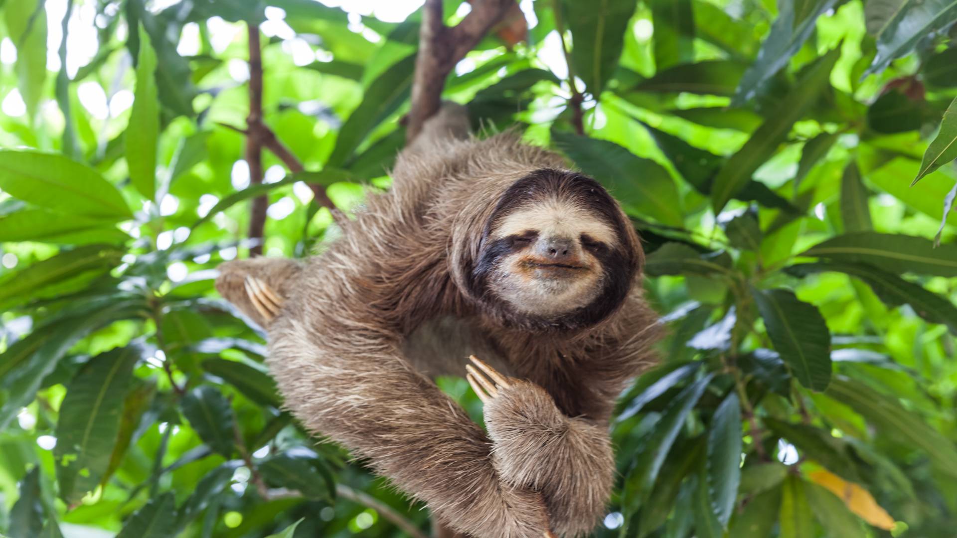 Jack Adventures Costa Rica - Adventure tours in Peninsula Papagayo